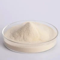 Close-up view of white to light yellow Fungal Alpha-Amylase CAS 9001-19-8 powder in a glass petri dish, high purity enzyme sample from UET Chemical for quality inspection.