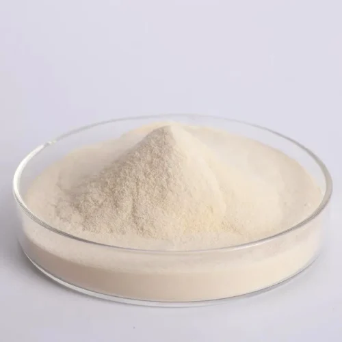 fungal-alpha-amylase-cas-9001-19-8-powder-sample Close-up view of white to light yellow Fungal Alpha-Amylase CAS 9001-19-8 powder in a glass petri dish, high purity enzyme sample from UET Chemical for quality inspection.
