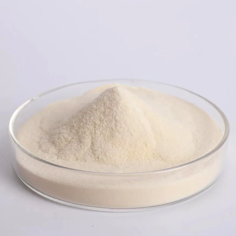 Close-up view of white to light yellow Fungal Alpha-Amylase CAS 9001-19-8 powder in a glass petri dish, high purity enzyme sample from UET Chemical for quality inspection.