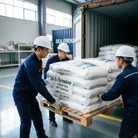 l-tyrosine-cas-60-18-4-container-loading Workers loading shrink-wrapped pallets of L-Tyrosine CAS 60-18-4 bags into container for sea freight shipment
