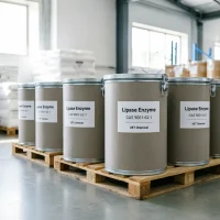 lipase-enzyme-cas-9001-62-1-bulk-drums-warehouse Bulk lipase enzyme CAS 9001-62-1 in sealed cardboard drums on wooden pallets ready for export – UET Chemical warehouse.