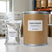 lipase-enzyme-cas-9001-62-1-foil-bag-drum-packaging Lipase enzyme CAS 9001-62-1 packaging options: silver foil sample bag and kraft paper drum with metal lid, UET Chemical.
