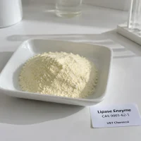lipase-enzyme-cas-9001-62-1-off-white-powder Fine off-white lipase enzyme powder CAS 9001-62-1 displayed in a white dish, UET Chemical quality control lab.
