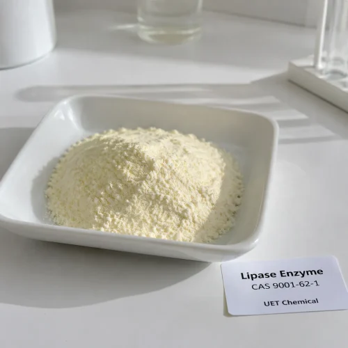 lipase-enzyme-cas-9001-62-1-off-white-powder Fine off-white lipase enzyme powder CAS 9001-62-1 displayed in a white dish, UET Chemical quality control lab.