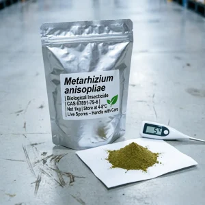 metarhizium-anisopliae-biological-insecticide-1kg-aluminum-bag-temperature-control 1kg aluminum foil packaging of Metarhizium anisopliae biological insecticide with live spores. The label requires 4-8°C storage, validated by the 5°C digital thermometer next to the powder, ensuring high viability for agricultural pest control.