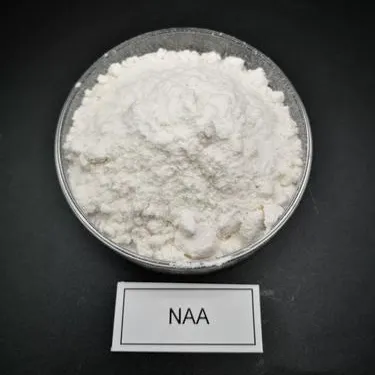 Close-up of pure white Naphthalene Acetic Acid (NAA) CAS 86-87-3 powder in a glass dish with a label, showcasing its fine crystalline quality for plant growth regulator applications.