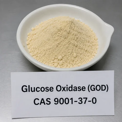 Light yellow glucose oxidase (GOD) enzyme powder CAS 9001-37-0 in white ceramic dish with product label card